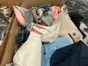 Apparel: &#x22;Clothes&#x22; (SEP25-0867)