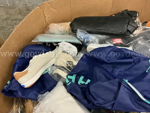 Apparel: Manually Sorted &#x22;Shoes, Handbags and Totes&#x22; (SEP25-0868X)