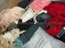Apparel: &#x22;Clothes&#x22; (SEP25-0871)