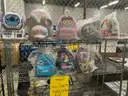 Apparel: &#x22; Lounge Fly Backpacks &#x26; Bags (SEP25-H025x)