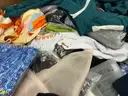 Apparel: &#x22;Clothes&#x22; (SEP25-0888)