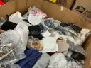 Apparel: Manually Sorted &#x22;Shoes, Handbags and Totes&#x22; (SEP25-0956X)