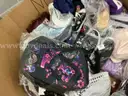 Apparel: Manually Sorted &#x22;Shoes, Handbags and Totes&#x22; (SEP25-1061X)