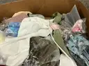 Apparel: &#x22;Clothes&#x22; (SEP25-1176)