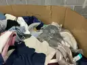 Apparel: &#x22;Clothes&#x22; (SEP25-1217)