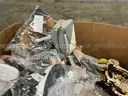 Apparel: Manually Sorted &#x22;Shoes, Handbags and Totes&#x22; (SEP25-1251X)