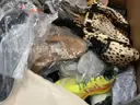 Apparel: Manually Sorted &#x22;Shoes, Handbags and Totes&#x22; (SEP25-1251X)