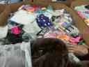 Apparel: &#x22;Clothes&#x22; (SEP25-1255)