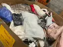 Apparel: &#x22;Clothes&#x22; (SEP25-1266)