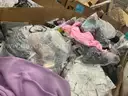 Apparel: &#x22;Clothes&#x22; (OCT25-0084)