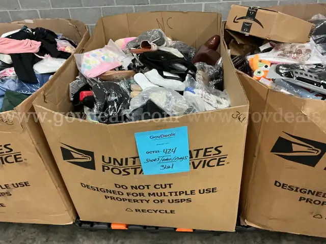 Apparel: Manually Sorted &#x22;Shoes, Handbags and Totes&#x22; (OCT25-0424X)