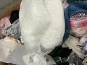 Apparel: &#x22;Clothes&#x22; (OCT25-0558)