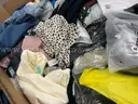 Apparel: &#x22;Clothes&#x22; (OCT25-0615)