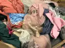Apparel: &#x22;Clothes&#x22; (OCT25-0618)