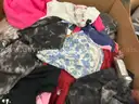 Apparel: &#x22;Clothes&#x22; (OCT25-0620)