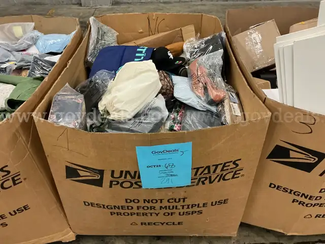 Apparel: Manually Sorted &#x22;Shoes, Handbags and Totes&#x22; (OCT25-0653X)
