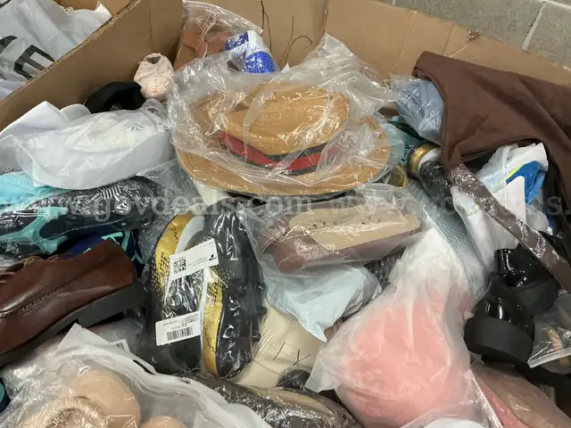 Apparel: Manually Sorted &#x22;Shoes, Handbags and Totes&#x22; (OCT25-0991X)