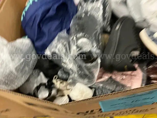 Apparel: Manually Sorted &#x22;Shoes, Handbags and Totes&#x22; (OCT25-1034X)