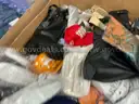 Apparel: Manually Sorted &#x22;Shoes, Handbags and Totes&#x22; (OCT25-1112X)