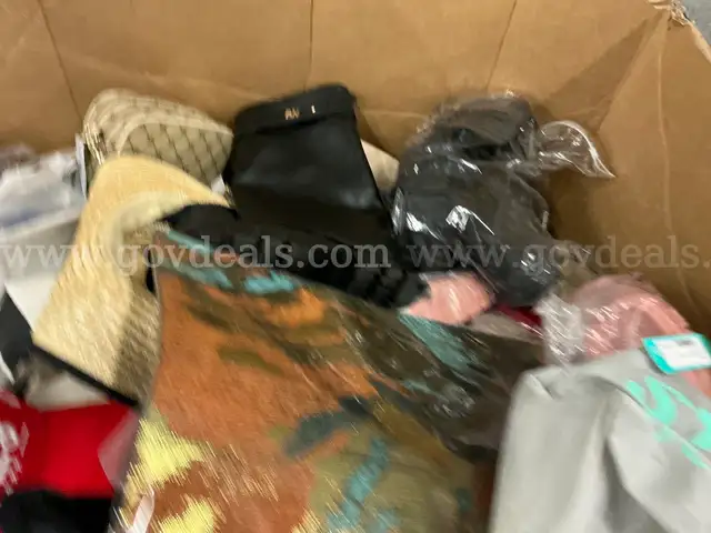 Apparel: Manually Sorted &#x22;Shoes, Handbags and Totes&#x22; (OCT25-1112X)