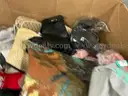 Apparel: Manually Sorted &#x22;Shoes, Handbags and Totes&#x22; (OCT25-1112X)