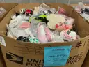 Apparel: Manually Sorted &#x22;Shoes, Handbags and Totes&#x22; (OCT25-1177X)