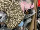 Apparel: Manually Sorted &#x22;Shoes, Handbags and Totes&#x22; (OCT25-1187X)