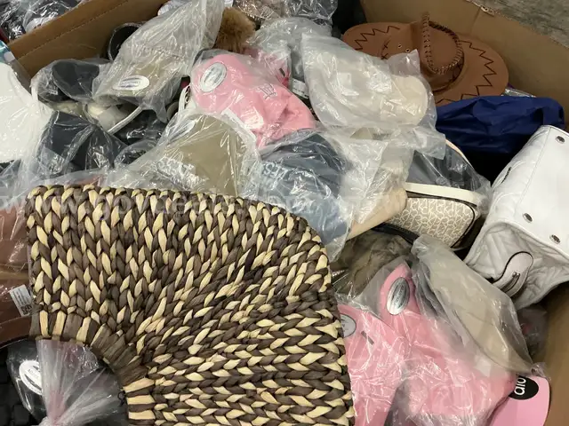 Apparel: Manually Sorted &#x22;Shoes, Handbags and Totes&#x22; (OCT25-1187X)