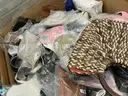 Apparel: Manually Sorted &#x22;Shoes, Handbags and Totes&#x22; (OCT25-1187X)