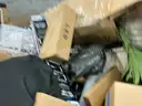 General Merchandise: (OCT25-1280)