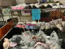 Apparel Clothes &#x26; Accessories &#x201C;Victoria secret products&#x201D; (OCT25-H041)