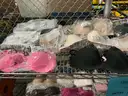 Apparel Clothes &#x26; Accessories &#x201C;Victoria secret products&#x201D; (OCT25-H041)