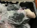 Apparel Clothes &#x26; Accessories &#x201C;Victoria secret products&#x201D; (OCT25-H041)