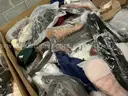 Apparel: Manually Sorted &#x22;Shoes, Handbags and Totes&#x22; (OCT25-1593X)