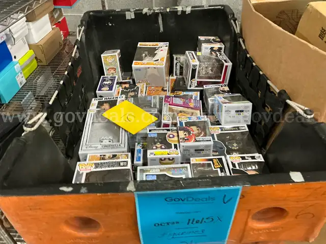 Collectibles: &#x22;Figurines&#x22; (OCT25-1615X)