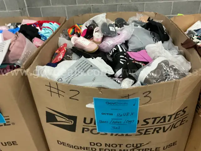 Apparel: Manually Sorted &#x22;Shoes, Handbags and Totes&#x22; (OCT25-1648X)