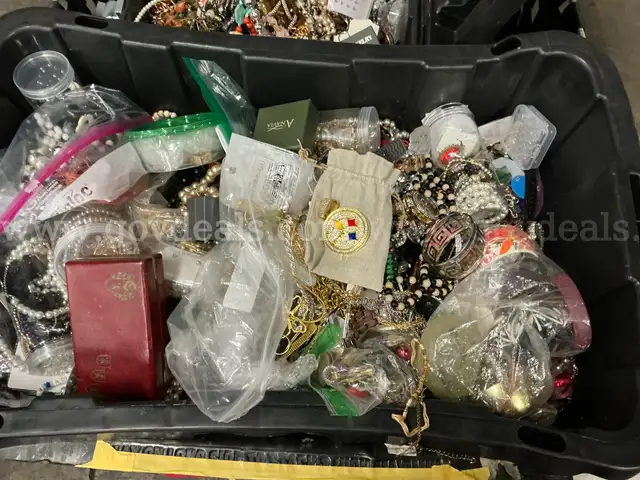 Jewelry: &#x22;Jewelry Salvageable&#x22; (NOV25-H005)