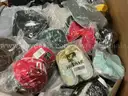 Apparel: Manually Sorted &#x22;Shoes, Handbags and Totes&#x22; (NOV25-0201X)