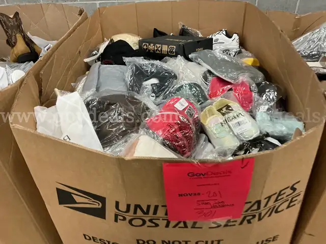 Apparel: Manually Sorted &#x22;Shoes, Handbags and Totes&#x22; (NOV25-0201X)