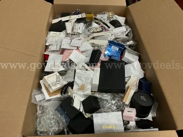 Jewelry: &#x22;Assorted&#x22; (NOV25-H011)