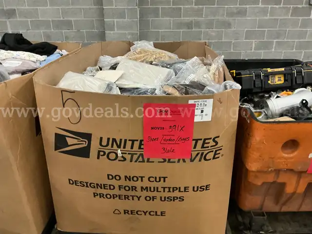 Apparel: Manually Sorted &#x22;Shoes, Handbags and Totes&#x22; (NOV25-0391X)