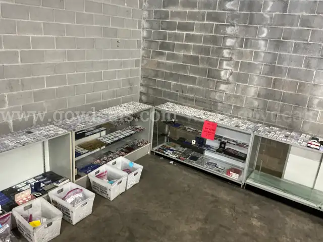 Collectibles: &#x22;Coins &#x26; Misc. Pieces&#x22; (NOV25-H032X)