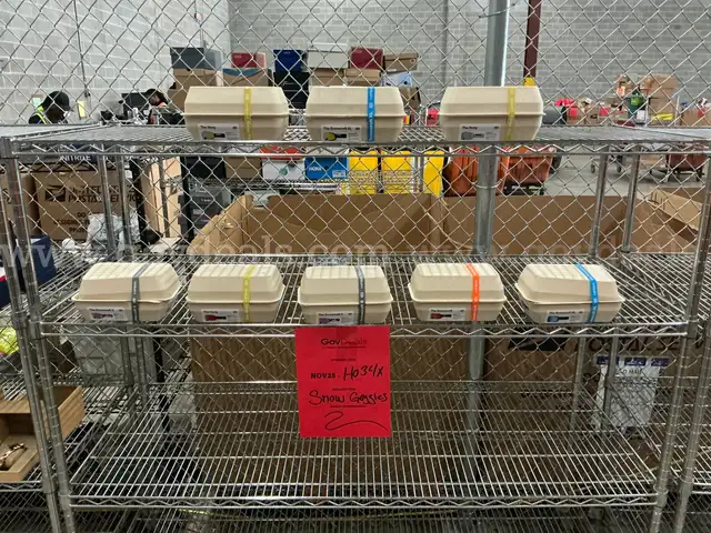 Snow Goggles:(NOV25-H034X)