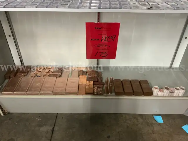 Collectibles: &#x22;Copper Bars&#x22; Assorted (NOV25-H039)