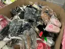 Apparel: Manually Sorted &#x22;Shoes, Handbags and Totes&#x22; (NOV25-1001X)
