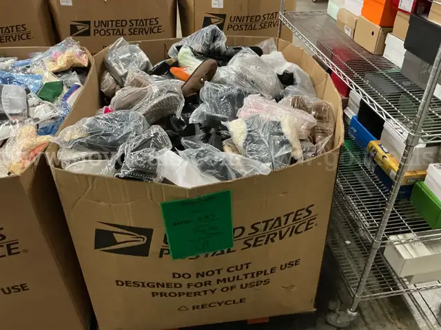 Apparel: Manually Sorted &#x22;Shoes, Handbags and Totes&#x22; (DEC25-0332X)