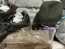 Apparel: Manually Sorted &#x22;Shoes, Handbags and Totes&#x22; (DEC25-0424X)