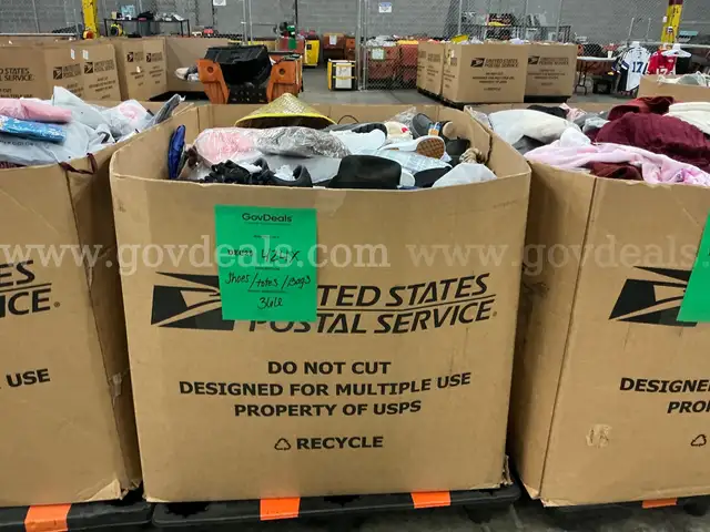 Apparel: Manually Sorted &#x22;Shoes, Handbags and Totes&#x22; (DEC25-0424X)