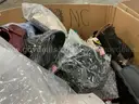 Apparel: Manually Sorted "Shoes, Handbags and Totes" (DEC25-0820X)