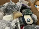 Apparel: Manually Sorted "Shoes, Handbags and Totes" (DEC25-0830X)